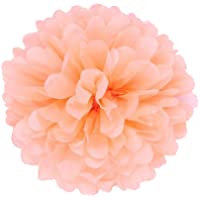 JZK® 10 x Flores de papeles pompones 25 cm para Boda Fiesta Halloween- Navidad Cumpleaños Flores del- pom pom pon pon…